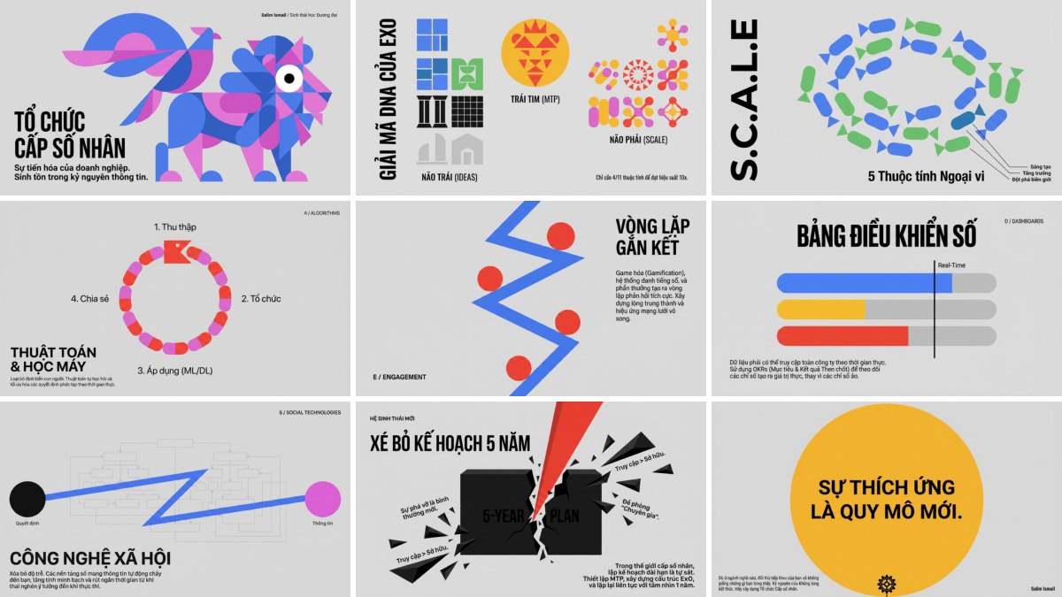 Geometric Animal